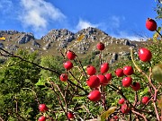 In RESEGONE, Punta Cermenati 1875 m, da Fuipiano-27sett22- FOTOGALLERY